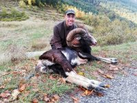 Tour 3 Mouflon Hunting In Le Mas - Hunting In France