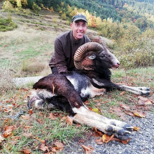 Tour 3 Mouflon Hunting In Le Mas - Hunting In France