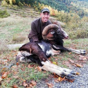 Tour 3 Mouflon Hunting In Le Mas - Hunting In France